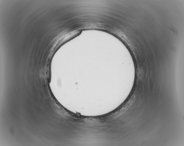 X0000111011089200907311046