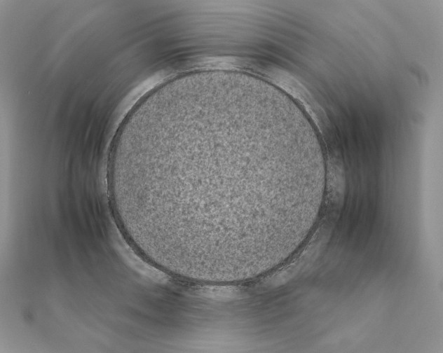 X0000111011090200907311046