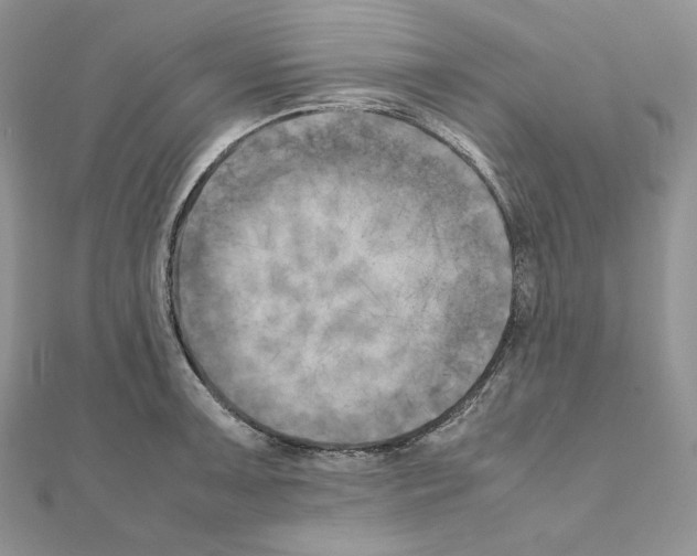 X0000111011091200907311046