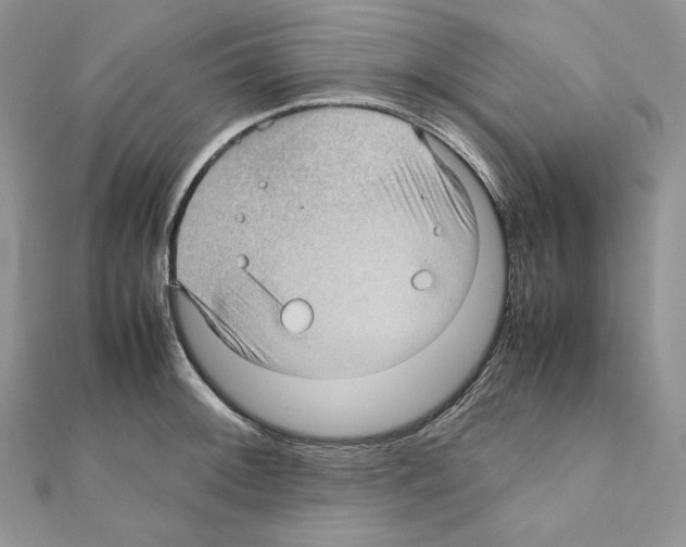 X0000111011092200907311046