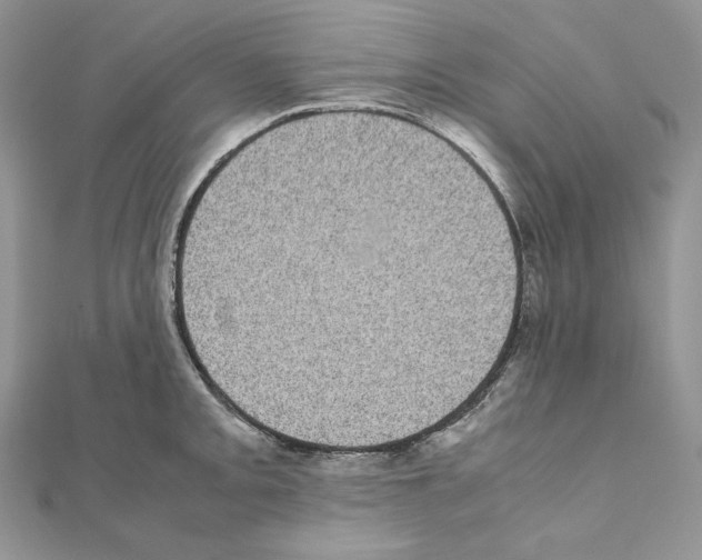 X0000111011093200907311046