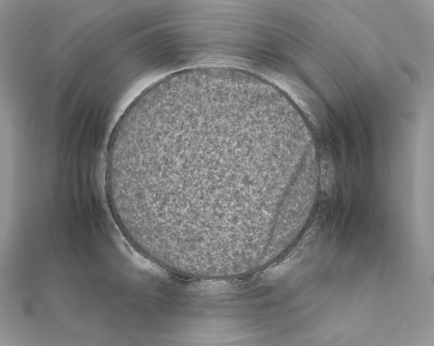 X0000111011094200907311046