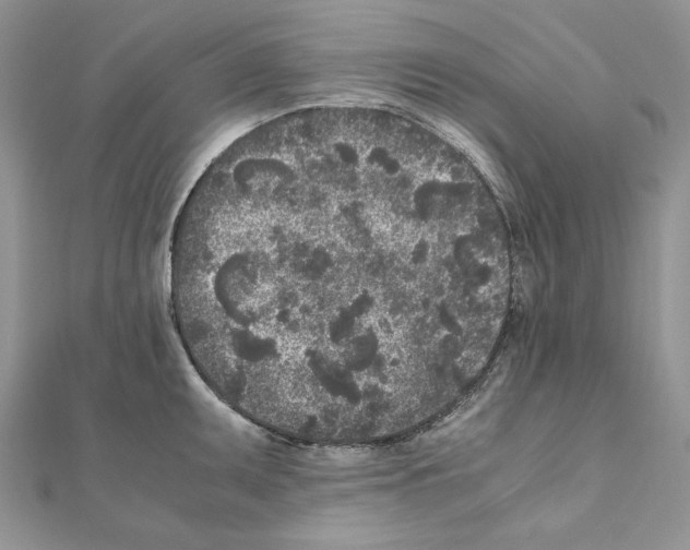 X0000111011095200907311046