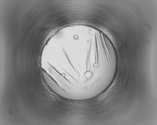X0000111011097200907311046