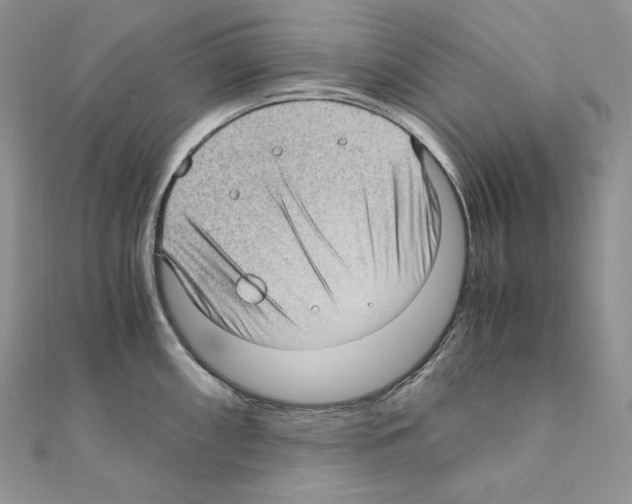 X0000111011098200907311046