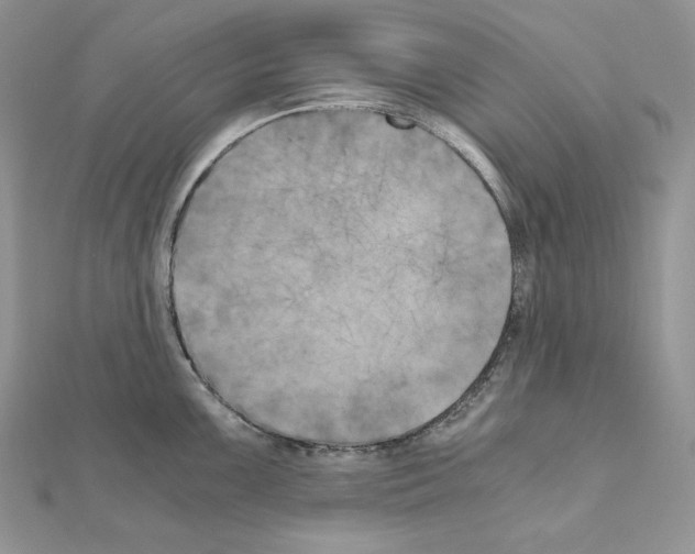 X0000111011099200907311046