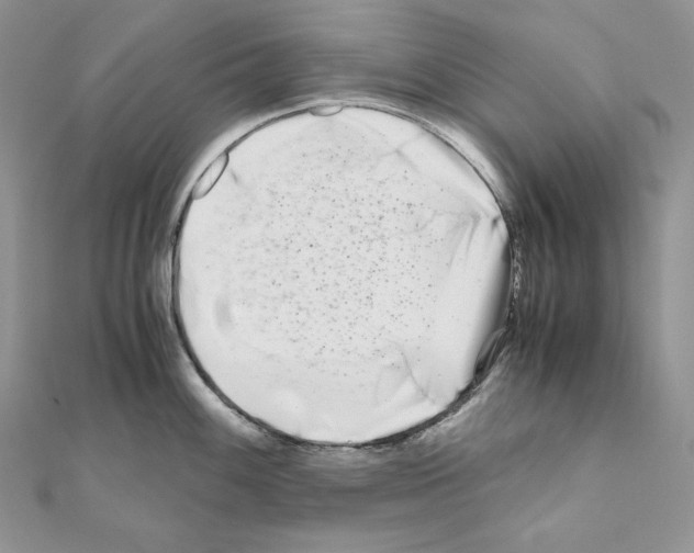 X0000111011100200907311046
