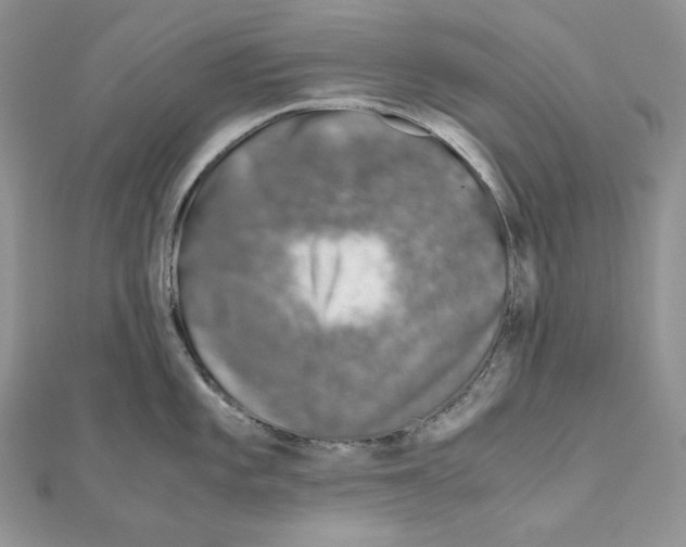 X0000111011101200907311046