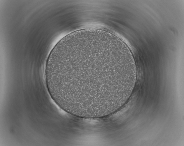 X0000111011103200907311046