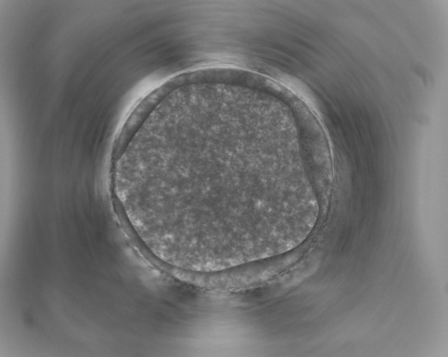 X0000111011104200907311046
