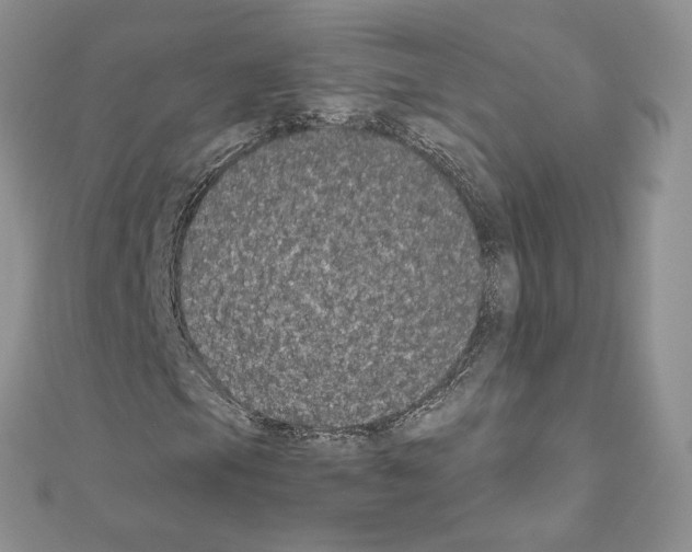 X0000111011105200907311046