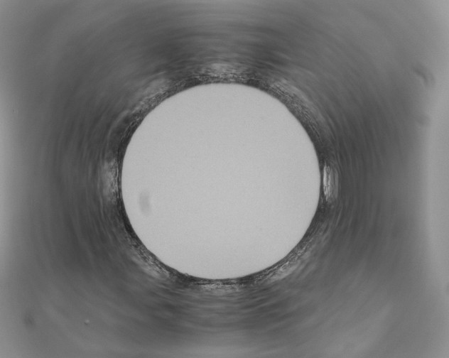X0000111011107200907311046