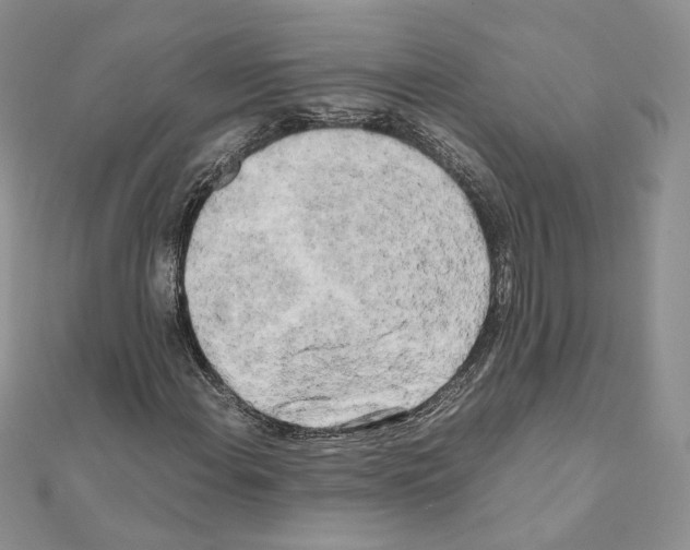 X0000111011108200907311046