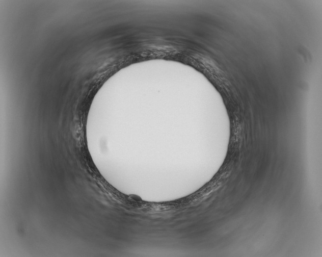 X0000111011109200907311046