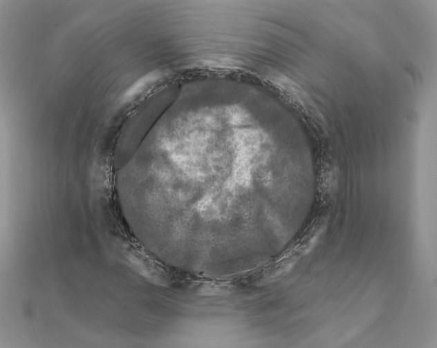 X0000111011110200907311046