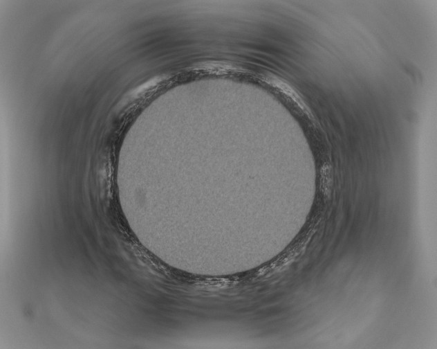 X0000111011111200907311046