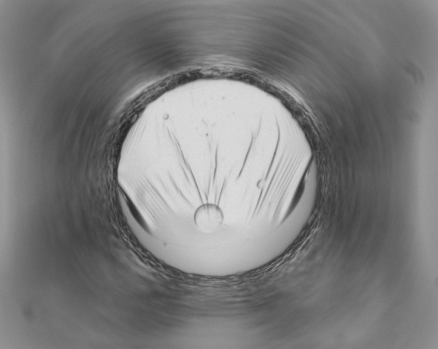 X0000111011112200907311046
