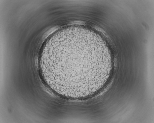 X0000111011113200907311046