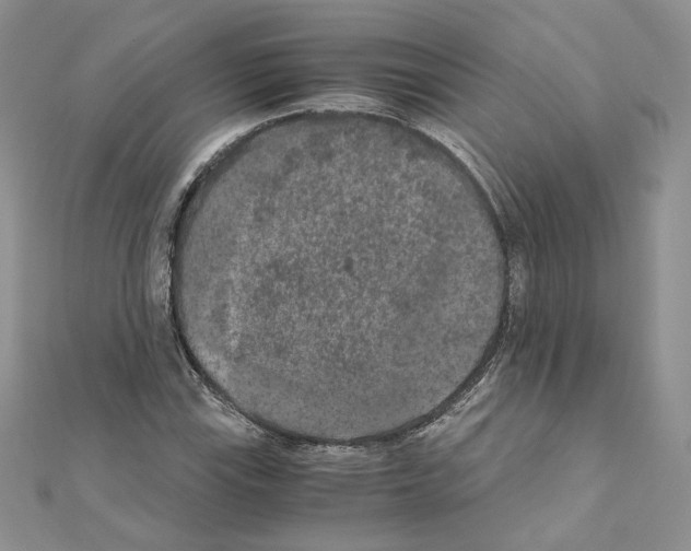 X0000111011115200907311046