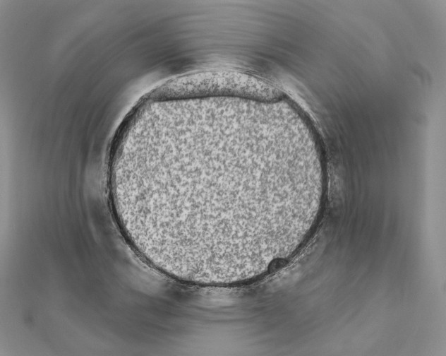 X0000111011116200907311046