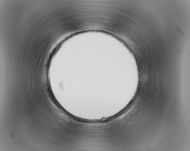 X0000111011118200907311046