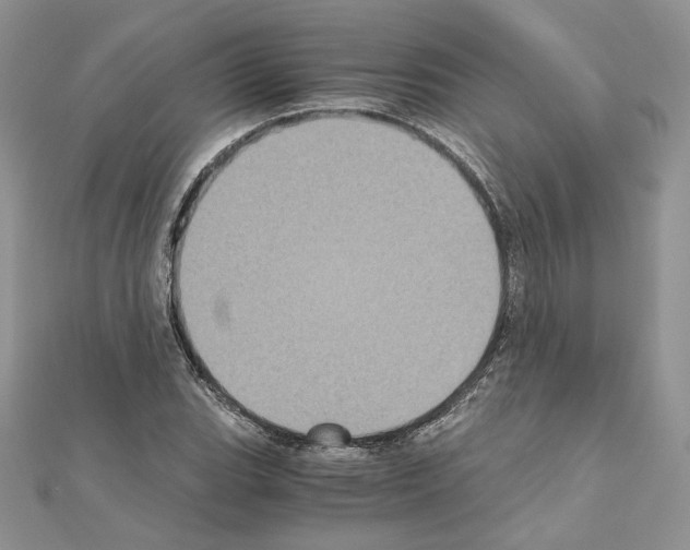 X0000111011119200907311046