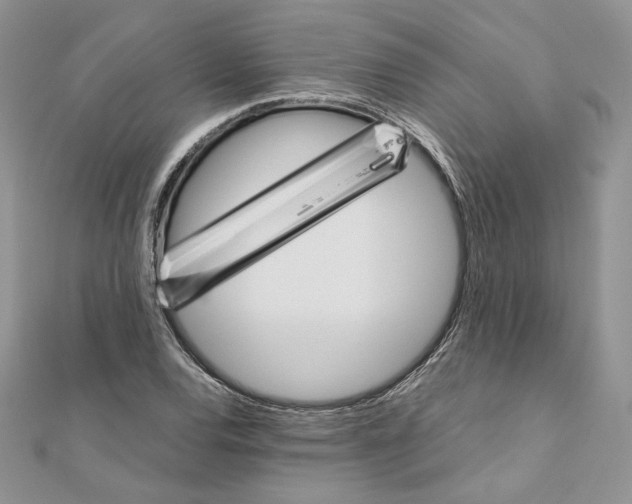 X0000111011120200907311046