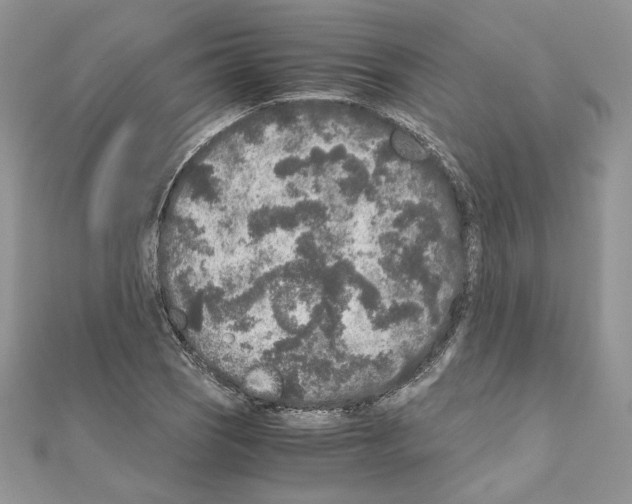 X0000111011121200907311046