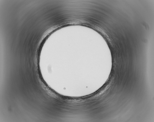 X0000111011122200907311046