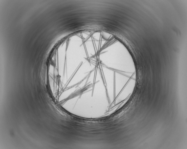X0000111011123200907311046