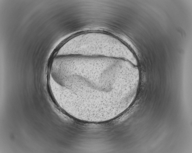 X0000111011124200907311046