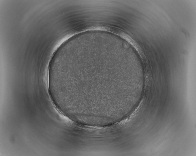 X0000111011127200907311046