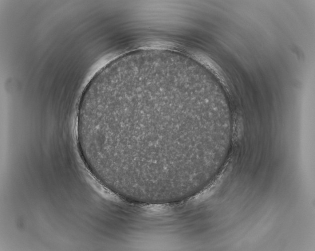 X0000111011130200907311046
