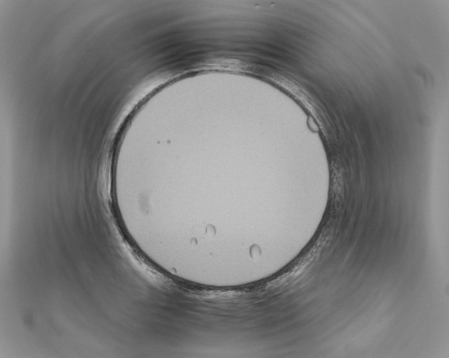 X0000111011131200907311046