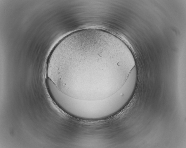 X0000111011132200907311046