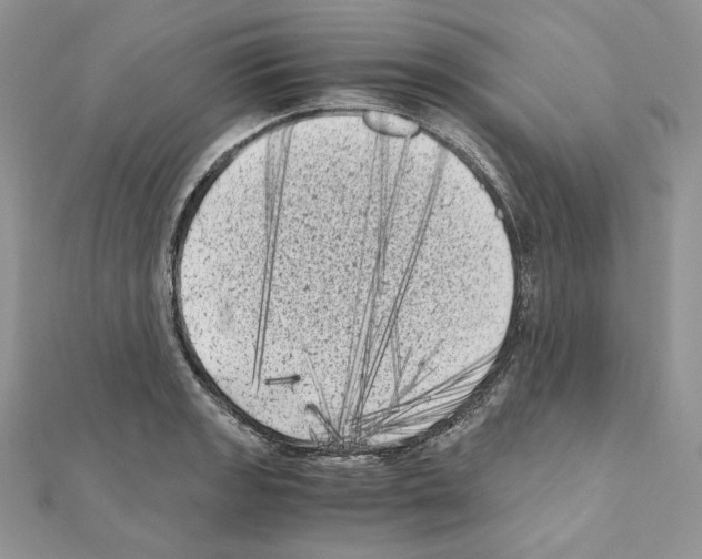 X0000111011133200907311046