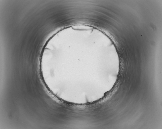 X0000111011134200907311046