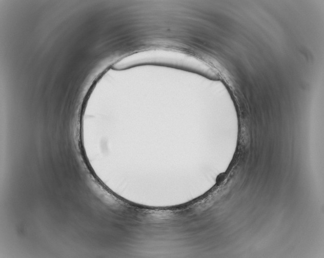 X0000111011136200907311046