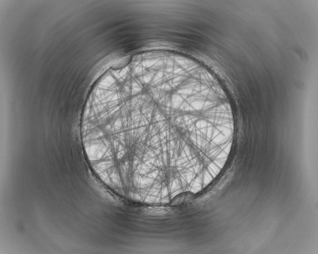 X0000111011137200907311046