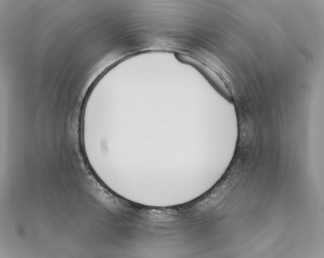 X0000111011138200907311046