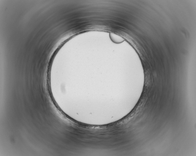 X0000111011139200907311046