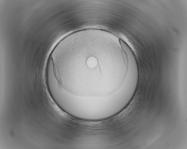 X0000111011140200907311046