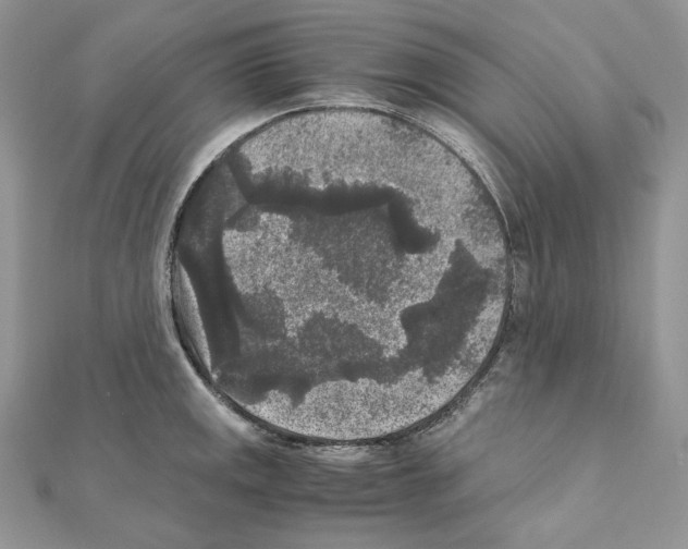 X0000111011141200907311046