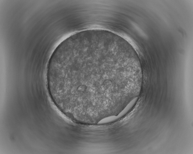 X0000111011142200907311046