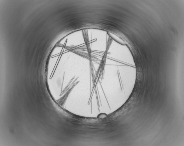 X0000111011143200907311046