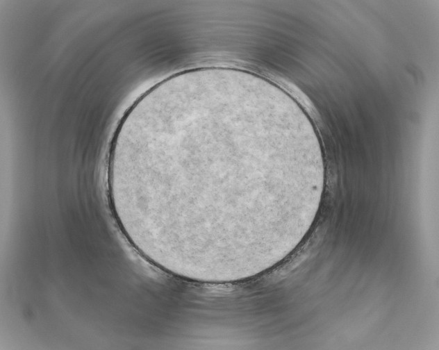 X0000111011144200907311046