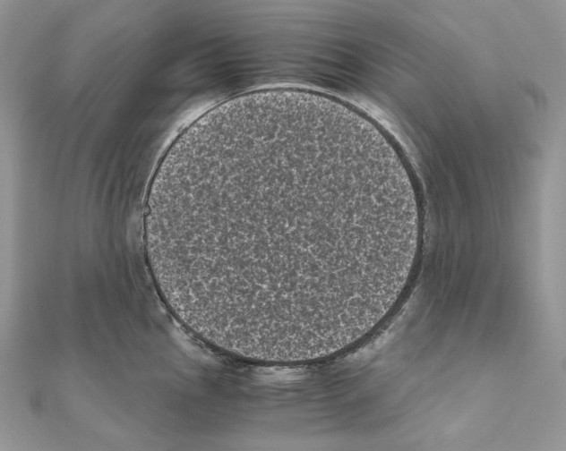 X0000111011145200907311046