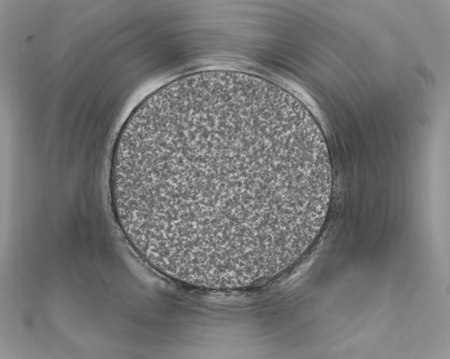 X0000111011146200907311046