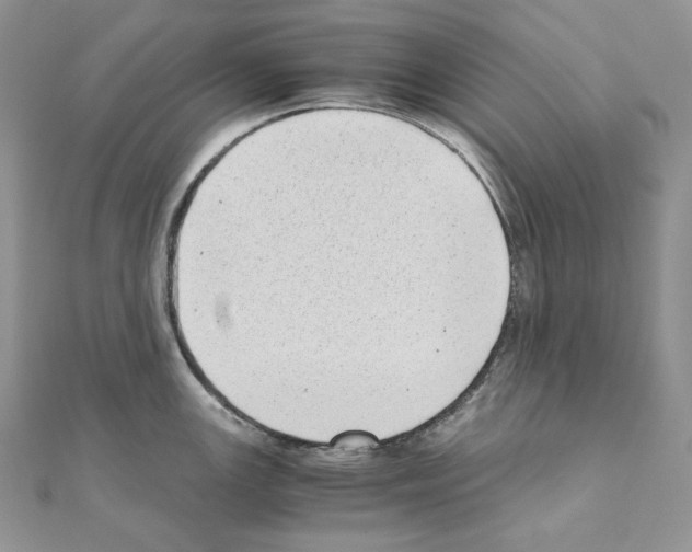 X0000111011147200907311046