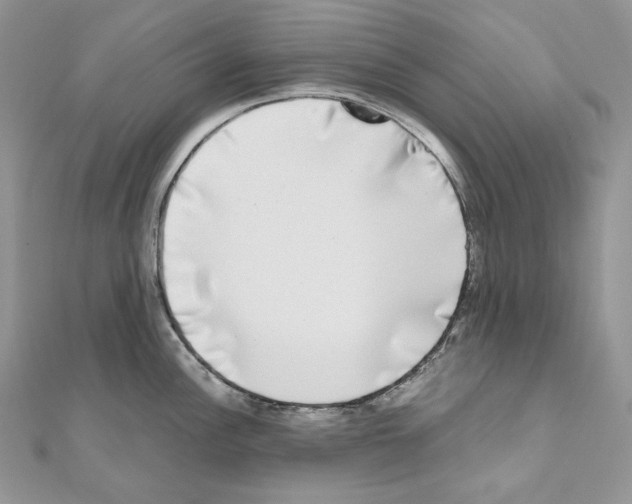 X0000111011148200907311046
